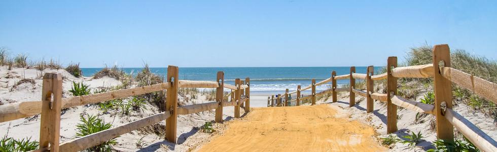 Beach Scene